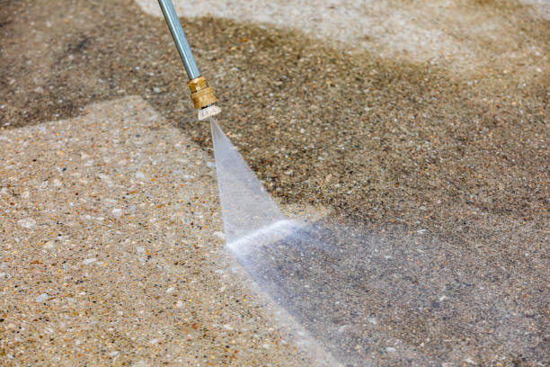Best Pre-Holiday Cleaning  in Shepherd, MI